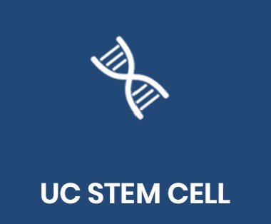 LBM STEM CELL ԵѳǪʵ  ӺѴ
