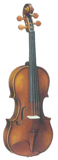  violin   AS-006-V  semi-professional繢ͧ 100%  ٻѡɳ§ҡ  §ըԧ  ػóҤúش