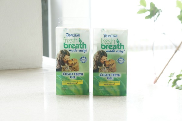 Fresh Breath Clean Teeth Gel ŴҺԹٹعѢ