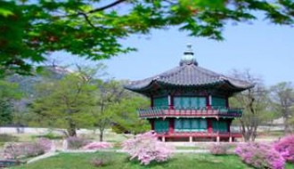 DarakornTravel  SPRING IMPRESSION IN KOREA 5 ѹ 3 ׹ (XJ)