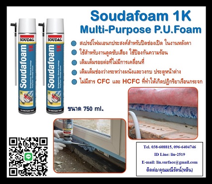 Soudafoam 1K Multi-Purpose P.U.Foam ͹ʧ