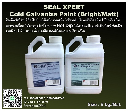 SealXpert Cold Galvanizing Paint ա乫ͧѹʹ