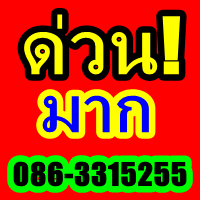 อยากมีเงินใช้สบายๆลองทำดู งาน Past time ทำงานแค่ 2-3 ชั่วโมง