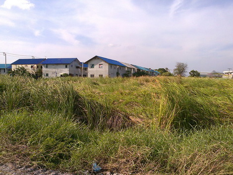 ขายที่ดิน 4 แปลง ในซอยเฉลิมพระเกียรติ ร.9 30 เขตประเวศ