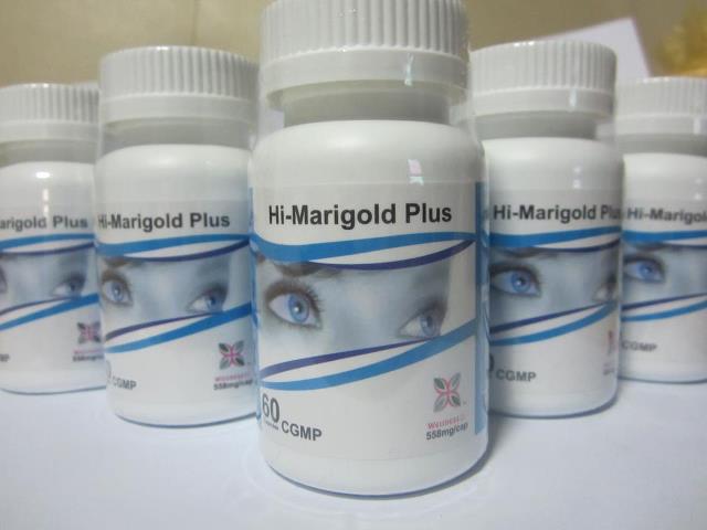 Ŵ  Hi-Marigold Plus ا黭ҵ5
