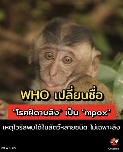 WHO เปลี่ยนชื่อ "โรคฝีดาษลิง" เป็น "mpox" เหตุไวรัสพบได้ในสัตว์หลายชนิด ไม่เฉพาะลิง