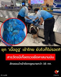 ซุกเนื้ออูฐเข้าไทย ยังไงก็ไม่รอด!! สารวัตรบีเกิ้ลตรวจยึดคาสนามบิน กว่า 16 กิโลกรัม ลักลอบนำเข้าผิดกฎหมาย