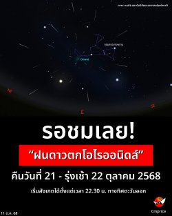 ͪ! ǵ͹Դ ׹ѹ 21 -  22 Ҥ 2568