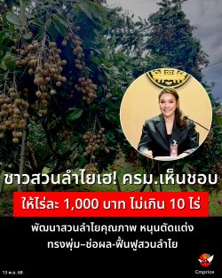 ǹ .繪ͺçþѲǹ¤سҾ ˹عѴ觷çͼ-鹿ǹ  1,000 ҷ Թ 10 