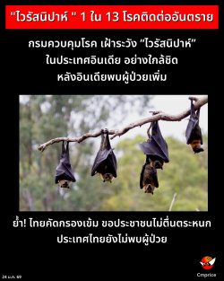 ����Ǻ����ä������ѧ �����ʹԻ��� ���Դ ��ѧ�Թ��¾����������� ����¤Ѵ��ͧ��� �ͻ�ЪҪ�����蹵��˹�