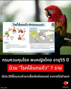 ����Ǻ����ä �� ��˭ԧ������55 �� ���� ��ä�鹡��ǔ 1 ���� �ջ���ѵԫ��͹����������§���ͧ����