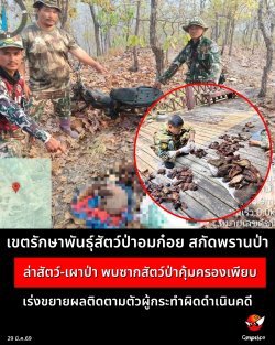 ࢵ�ѡ�Ҿѹ����ѵ���������� ʡѴ��ҹ�������ѵ��-�һ�� ���ҡ�ѵ���Ҥ�����ͧ��º ��觢��¼ŵԴ�����Ǽ���зӼԴ���Թ���