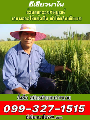 ปุ๋ยพันธุ์ใหม่ขวัญใจเกษตรกรไทย อีเขียวนาโน