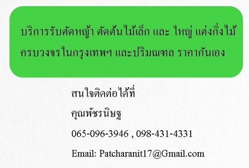 บริการรับตัดหญ้า ตัดต้นไม้เล็ก และ ใหญ่ แต่งกิ่งไม้ ครบวงจร
