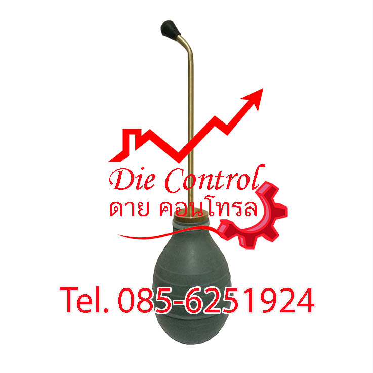 �١�ҧ�պ����������Ѻ�Թ������,�Թ������,������