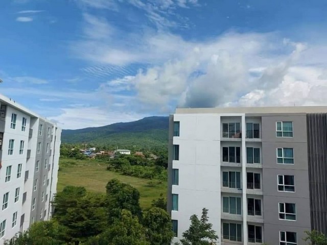 ��� �͹������� �ǹ��ǧ ��ا෾��ҹ��    392