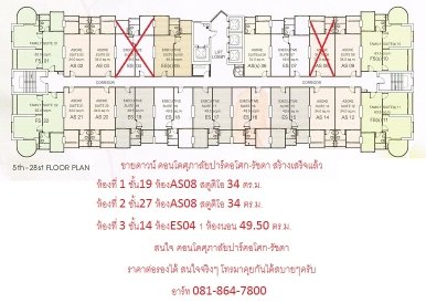 ��´�ǹ� �͹�������»�����ȡ-�Ѫ�� �١����ش ����� 2411