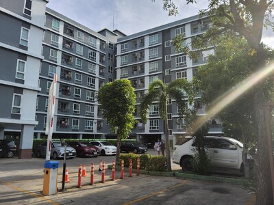 ��¤͹� ������鹷� ��չ��Թ��� Elements Srinakarin 29.69 ��.� ��