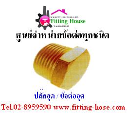 ปลั๊กอุด / ข้อต่ออุด เกลียวนอก