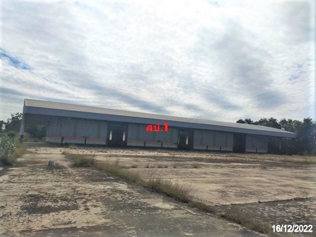 ���⡴ѧ������� ���ͷ�� 38 ��� �.��պح���ͧ �.˹ͧ�������