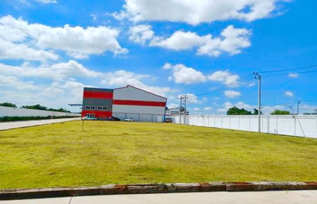 PO1956 ������⡴ѧ 300 ���. ������Ϳ��� �����͹�ت 17