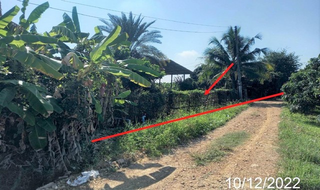 ���⡴ѧ�红ͧ ���ͷ�� 5-2-66 ��� ����� ��ҫҧ �ѧ��Ѵ �Ӿٹ