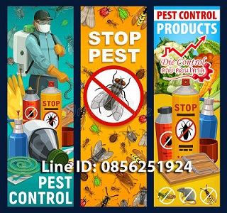 �ػ�ó� ����ͧ��� ������ ����� �ӨѴ��ǡ �� ��ŧ ˹� �ا �