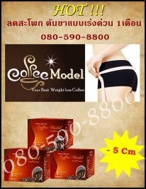 �Ϳ������š�ῤǺ������˹ѡ 2-3 k.g /10 �ѹ