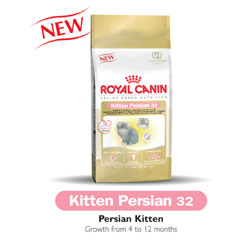 �������� Royal Canin ������觷��ǻ���ȹФ�