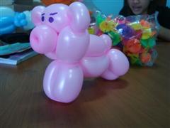 ��˹����١������Ѻ�Ѵ�ҹ���觴����١����ҡ��
