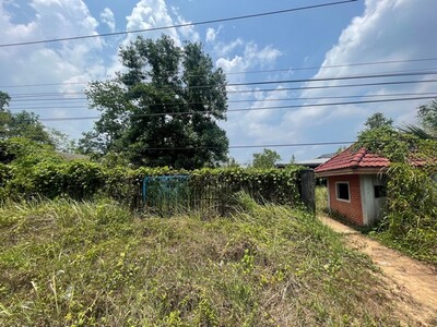 ��� ���Թ�������觻�١���ҧ  ����ͤ��к��� �ѧ�� 11-05-2026