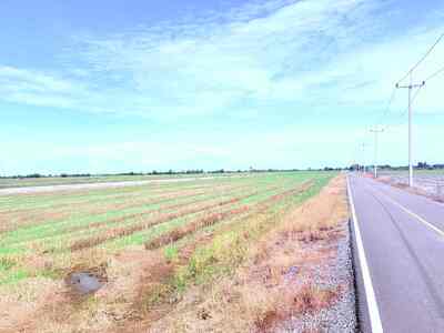 ขายที่ดินเปล่า ขนาดใหญ่ ราคาดี ทำเลบางเลน จ.นครปฐม 13-05-2026