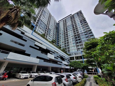 ��� �͹� ������� �Ե�� ������ ���Ѳ�� 10-03-2026