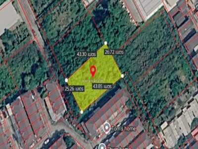 ��º�ҹ������� Nordic ������ǹ ���������¹�� �.����Թ��� 127 14-03-2026