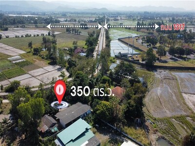 ��·��Թ�������觻�١���ҧ�Դ��� ��Ƿ�觹���鶹�1317�ѹ��ᾧ 15-03-2026