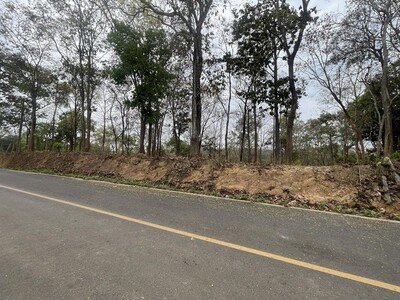 ���Թ�Թ���ŧ��� ���ʹ���Թ��ҹ��ѧ����ҧ�纹����ż�ҹ 15-03-2026