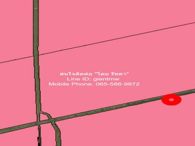 ��·��Թ��ͧ 14 �Դ������º��ͧ�ѧ�Ե-��ù�¡ (�ժ���) 100 ��� 17-03-2026