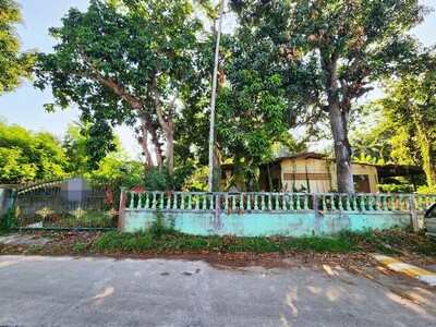 ��º�ҹ����� ����ç���¹�˹�ͤ�ͧ��ЪҺ��ا ������˹�ͤ�ͧ  ��к 18-03-2026