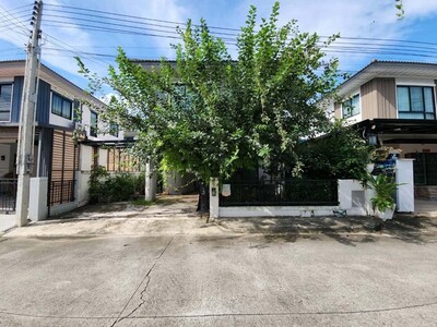 ��º�ҹὴ �����ҹ���������� �Ҵ��кѧ-����ó���� �����ǧ�� 19-03-2026