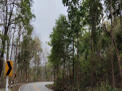 ��·��Թ⩹���رᴧ���Թ�� & �Դ�ط�ҹ��觪ҵ� �.��ҹ 20-03-2026