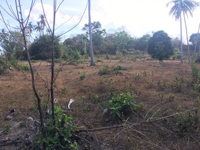 ��·��Թ�ǹ�о���� ����Ҵ˹�ҷ͹ ������� 11-0-35.8 ���, 3 ź./ 20-03-2026