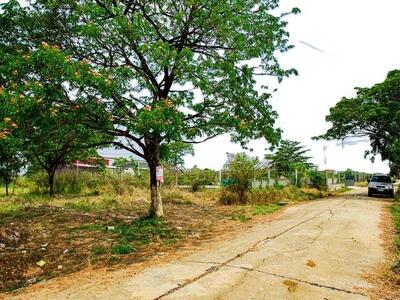 ��·��Թ���� 407 ���.  ��ҹ�չ���� ��¹��Ե����� 40 20-03-2026