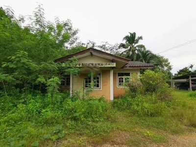 ��� ��ҹ�����  �Ҿ��  ��� �˹�ͤ�ͧ-��º��� ��к��  20-03-2026