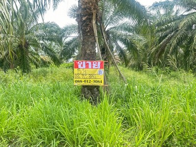 ขายที่ดิน 15 ไร่ เขาคันทรง ศรีราชา ชลบุรี ใกล้ อบต.เขาคันทรง 20-03-2026