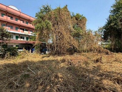 ��·��Թ���� ��������ҹ�Ѵ�������� ����Ҫ� �ҤҴ� ������  20-03-2026