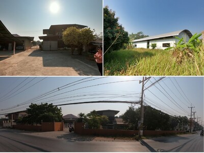 ขาย ที่ดินพร้อมสิ่งปลูกสร้าง อำเภอแม่ริม เชียงใหม่ 21-03-2026