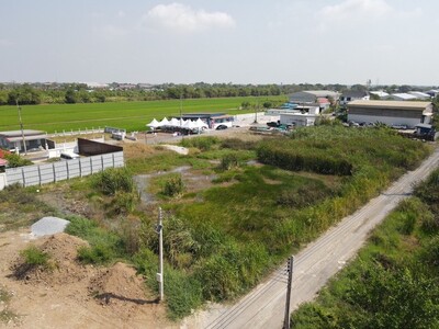 �١�ҡ ���Թ��ͧ 10 ���١�� �.�����ҹ� 200���. 1.25ź.��ҹ��  24-03-2026