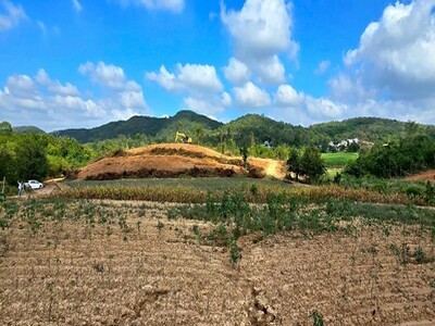 ที่ดินวิวเขาปากช่องโคราชสูงกว่าทะเล480ม.โครงการติดลาดยาง เริ่ม200 24-03-2026