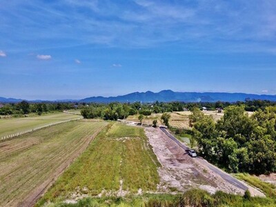 �������鶹��˭������4.8�ʹ� ����˹���ŧ ��ҹ�� ��ù�¡ 02-04-2026