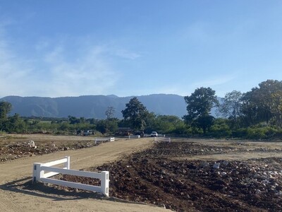 ������˭������⩹���رᴧ�����376�ҹ��� �ҡ��ͧ��Ҫo86-3ol-6l 02-04-2026